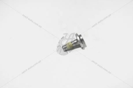 Болт (WHT003157) VAG 'WHT003157