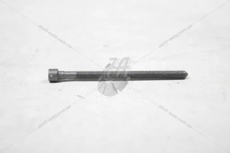 Болт M6X88 кріплення насос-форсунки AUDI/VW VAG WHT003179