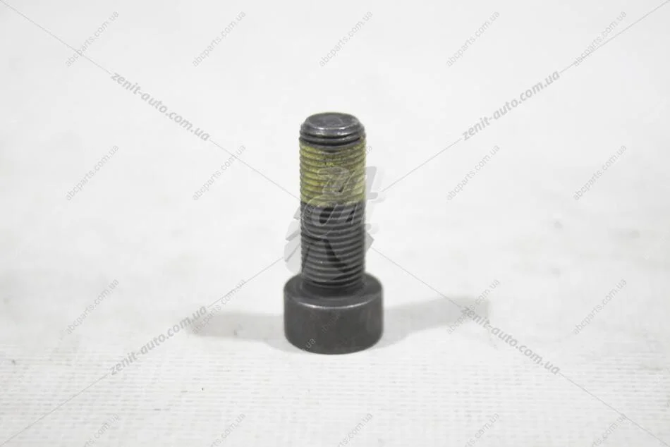 Болт маховика AUDI Q7 (16-) 3.0TFSI VAG WHT007991 (фото 1)