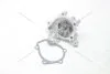 Насос водяний Hyundai Elantra (III,IV), Tucson (04-)/ Kia Cerato I, Sportage II 2.0i (WP5001) PHC Valeo 'WP5001 (фото 6)