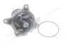 Насос водяний Hyundai HD (10-) (WP5061) PHC Valeo 'WP5061 (фото 4)