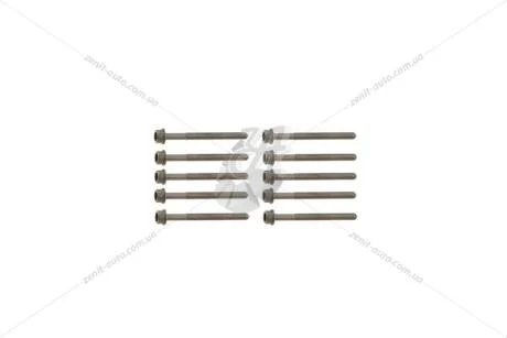 Комплект болтів ГБЦ 1,8TSI 2,0TSI 2,0TDI Skoda Octavia II Superb II VIKA Premium '10059311635