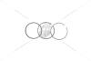 Кільця поршневі (компл 1 цил) VW Touareg 4,2i (06-10), Audi Q7 4,2i (07-09) VIKA Premium '11981634535 (фото 1)