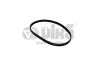 Ремень поликлиновой 6PK1095 Skoda Fabia (00-08)/VW Polo (02-06)/Seat Cordoba (03-09),Ibiza (02-10) VIKA Vika 19030598801 (фото 1)