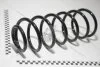 Пружина передня Skoda Octavia (97-11)/VW Golf (96-03), Passat (92-93) VIKA Vika 44110981101 (фото 1)
