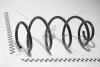 Пружина передняя Skoda Rapid (13-)/VW Polo (10-)Seat Toledo (13-),Ibiza (16-) VIKA Vika 44110981601 (фото 1)