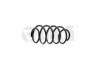 Пружина підвіски передня VW Passat B6, B7/Skoda Superb (08-15) Vika '44111610601 (фото 1)
