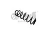Пружина задня Skoda Octavia (04-13,14-)/VW Golf (04-),Jetta (06-15),Passat (08-15)/Seat Toledo (05-09) VIKA Vika 45110573901 (фото 1)