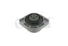 Подушка двигуна BMW X3 E83 (03-11) Vika '49907801 (фото 1)