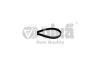 Ремінь поліклиновий 5PK1120 4,2 L VW Touareg (06-10,11-)/Audi A8 (09 -), Q7 (06-10) vika Vika 99030860701 (фото 1)