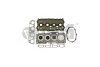 Комплект прокладок двигателя VW Golf (04-09),Passat (06-11)/Skoda Octavia (04-08)/Audi A4 (01-05) vika Vika K11767301 (фото 1)